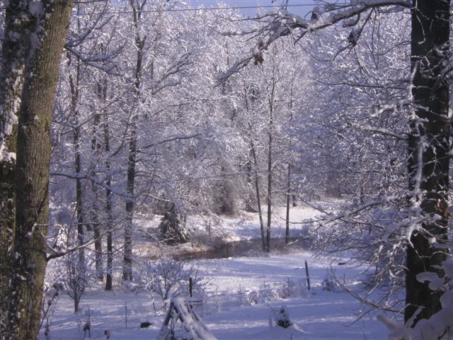 Snow Feb 2014